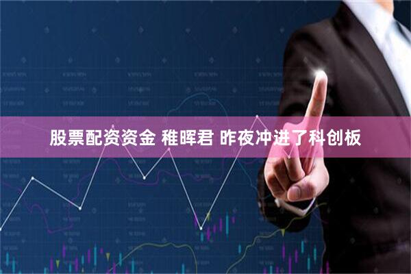 股票配资资金 稚晖君 昨夜冲进了科创板